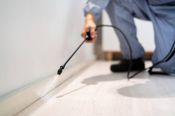 Certified termite inspector examining foundation in Dunn