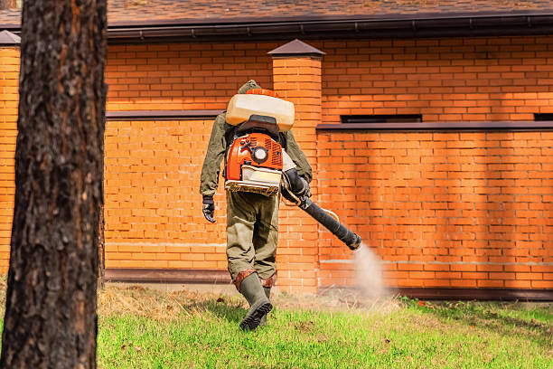 Bed Bug Clearance Verification and Documentation in Dunn